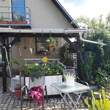 Ferienwohnung Auf Dem Land Rochlitz Exterior foto