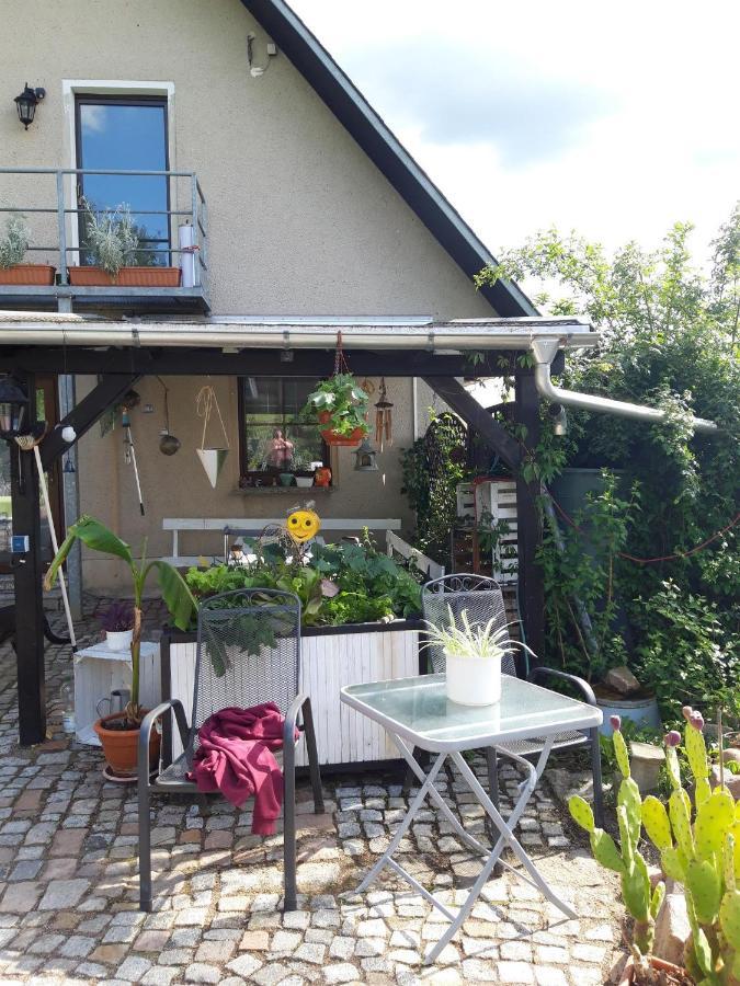 Ferienwohnung Auf Dem Land Rochlitz Exterior foto